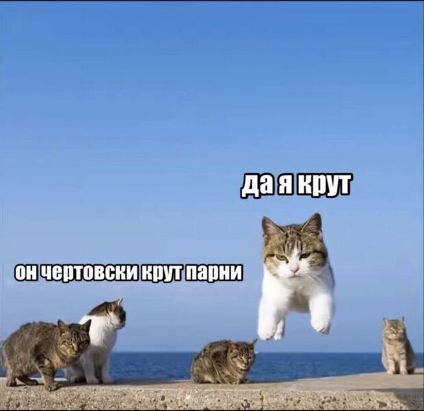 Файл:Да он крут.jpg
